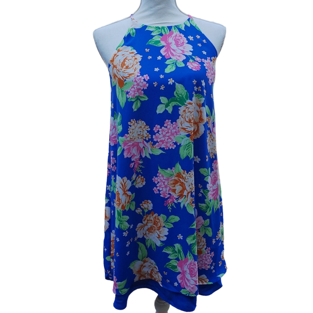 Pink Rose Floral Summer Dress Two Layers Spaghetti Straps Blue Pink Medi…